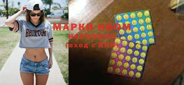 индика Аркадак