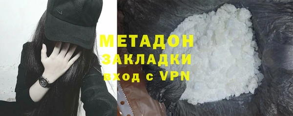 индика Аркадак