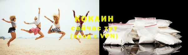 индика Аркадак