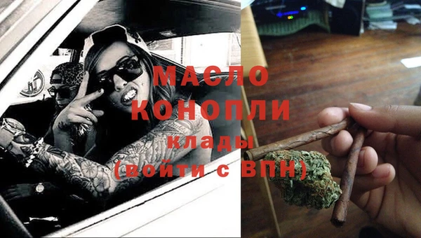 индика Аркадак