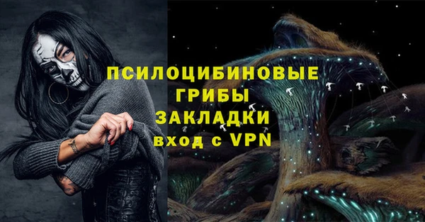 трава Армянск