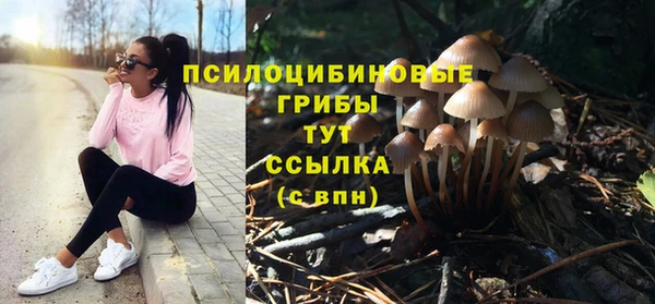 трава Армянск