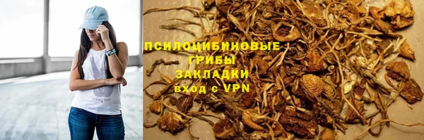трава Армянск