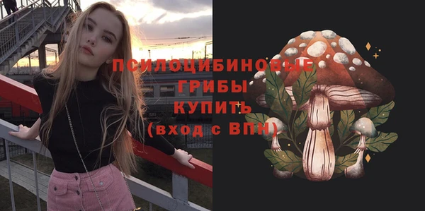 индика Аркадак